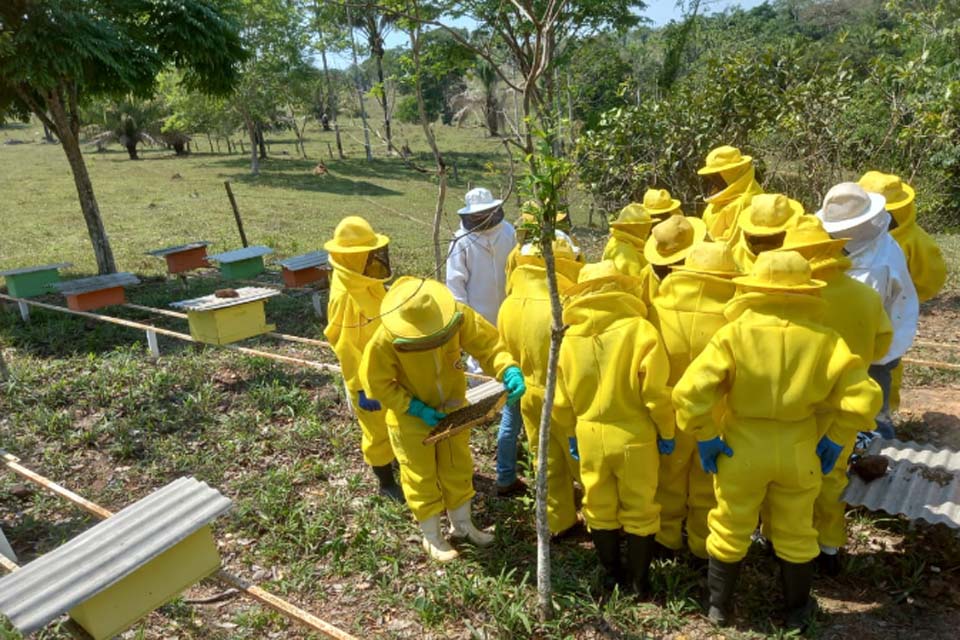 Apicultores de Porto Velho participam de curso de produção de abelhas rainhas