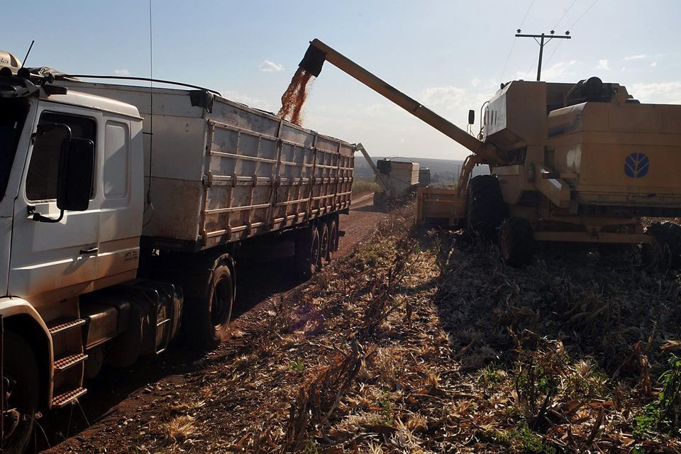 CMN autoriza renegociação de crédito rural