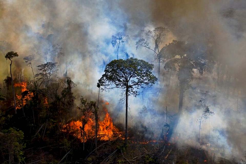 Alertas de desmatamento caem, mas seguem acima de 8 mil km² pelo 3º ano