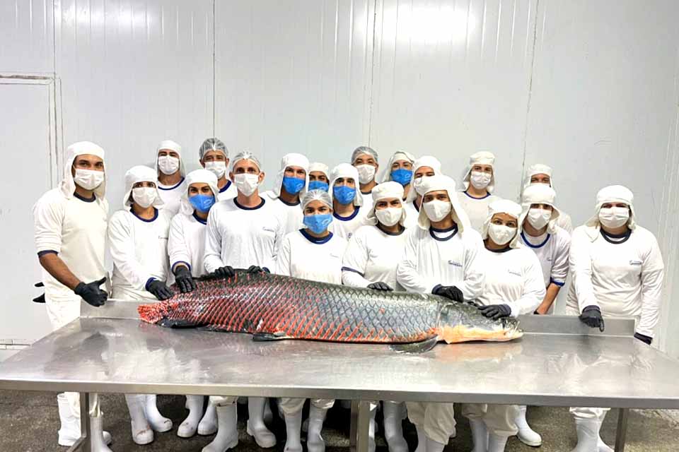 Integração amplia área de comércio à indústria de peixes do Vale do Paraíso