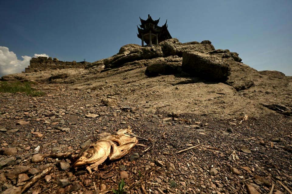 China alerta para grave ameaça à colheita por onda de calor recorde