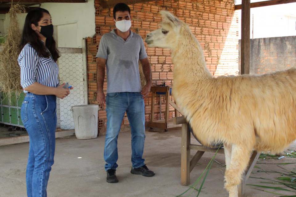 Estudo sobre anticorpos de camelídeos deve auxiliar terapêutica e diagnóstico de doenças negligenciadas em Rondônia