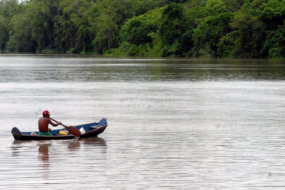 Amazônia Legal terá recursos para projetos de bioeconomia