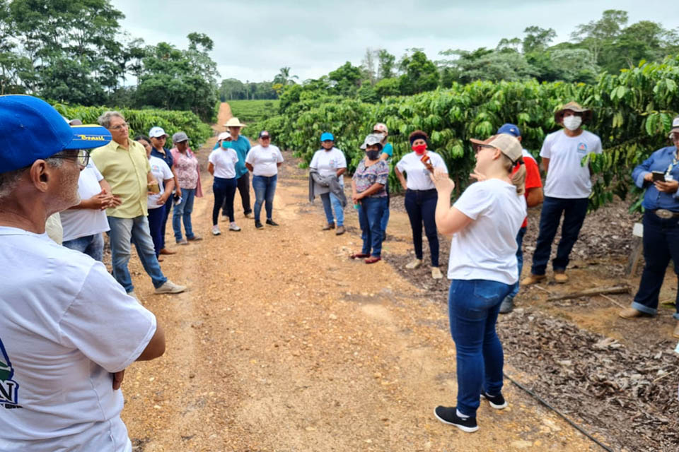 Produtores rurais de Roraima visitam Rondônia para conhecer cafés robustas amazônicos