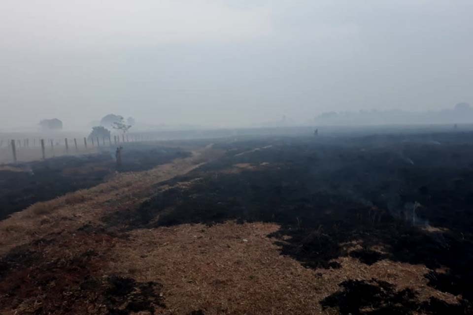 Queimadas: Incêndio destrói vegetação em grande área de pastagem na Linha 621; causa ainda é desconhecida