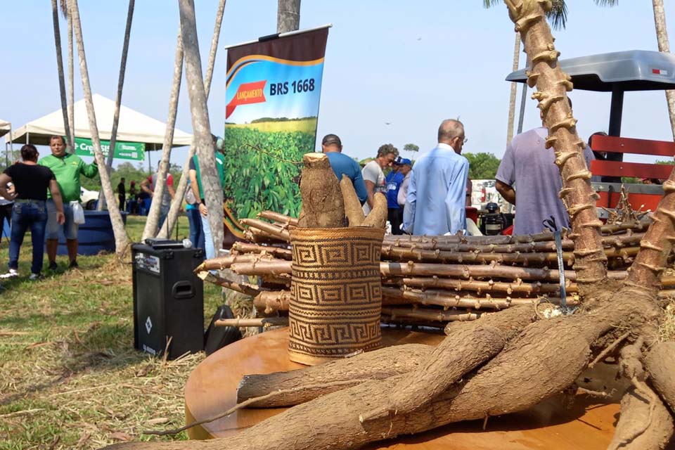 Prefeitura de Porto Velho reafirma potencial da produção durante o “Dia de Campo da Mandioca”