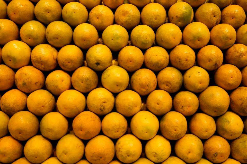 ApexBrasil vai qualificar produtores e empresas para exportar frutas