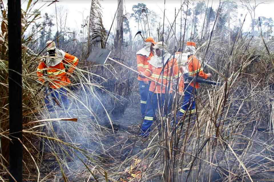 Corpo de Bombeiros divulga resultados parciais da Operação Verde Rondônia