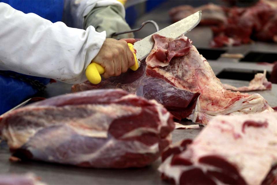 Exportação de carne do Brasil aumenta 12% no ano até agosto